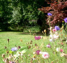 les jardins aux senteurs uniques