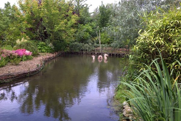 Création d’un bassin naturel