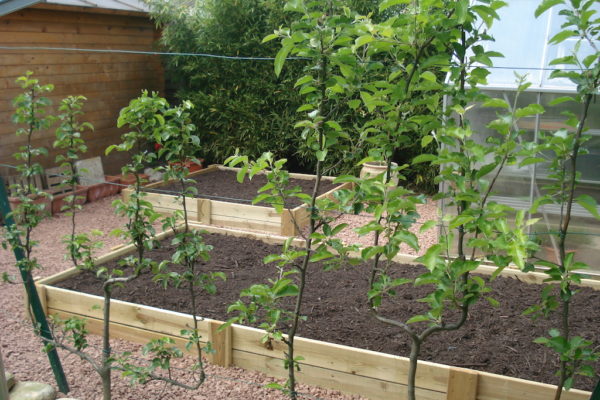 Création d’un potager