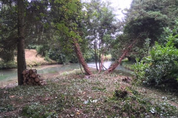 Débroussaillage aux bords d’une rivière