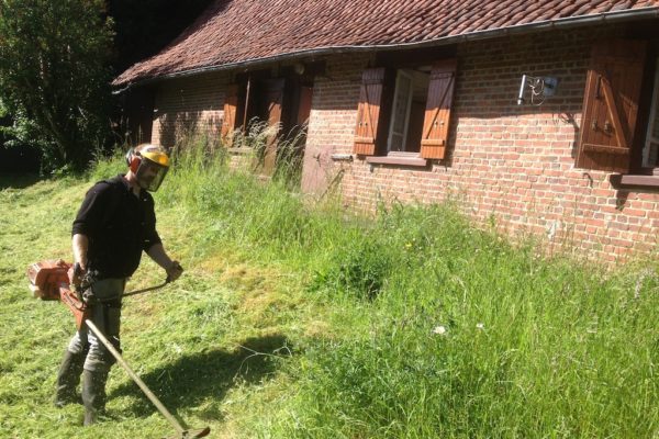 Débroussaillage de terrain