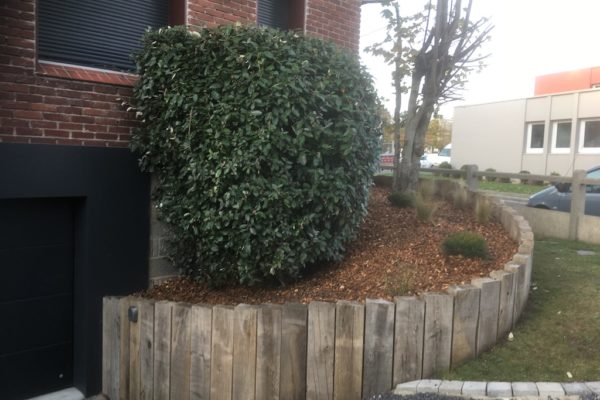 Création de jardins 2020