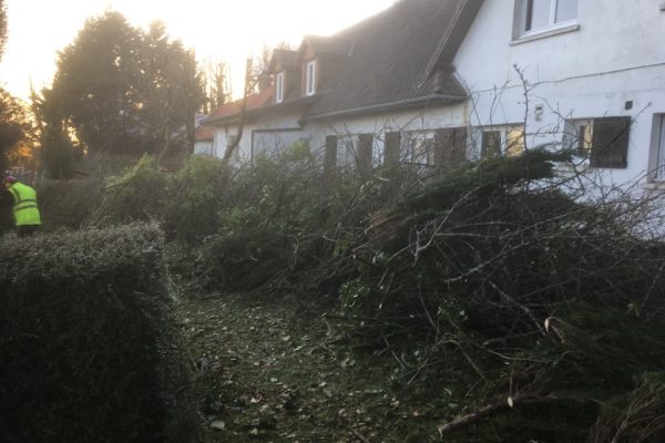 Débroussaillage 2020