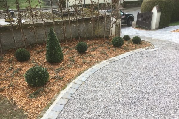 Plantations d’arbres 2020